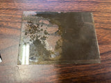VTG Antique Early 1900s Glass Photo Negative Slide Photo Farmhouse Ducks