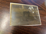 VTG Antique Early 1900s Glass Photo Negative Slide Photo Dog Playing In Field