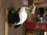 Vtg Empty 1980 Lord Calvert Canadian Common Eider Duck Decanter W/Original Box