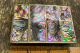 Vtg Belt Buckle Inlaid Natural Abalone Silver Dress Cowboy Western Mexico Fancy!
