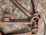 Lot Skeleton Keys Jail Cell 7" Large Cast Iron Gate Keeper Decoration Movie prop
