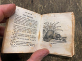 Vtg Antique Little Poem Book Glutton Higgler Beave Owl Parrot School boy 1900's