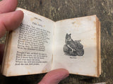 Vtg Antique Little Poem Book Glutton Higgler Beave Owl Parrot School boy 1900's