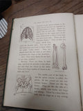Vtg 1900 1st Edition The House We Live In The Making Of The Body Vesta Farnswort
