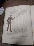Vtg 1900 1st Edition The House We Live In The Making Of The Body Vesta Farnswort