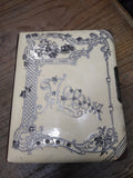 Vtg Antique 1899 Celluloid Photograph Album Tin Types Cabinet Cards Extra Pics!