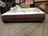 Vtg Antique 1899 Celluloid Photograph Album Tin Types Cabinet Cards Extra Pics!