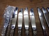 Vtg 11Pc Oneida Comm Stainless Chatelaine Solid & Hollow Handle Dinner Knife Lot