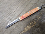 Vtg Prov Cutlery Co R.I. USA Folding Pocket Key Chain Knife 1 Blade 3" Closed