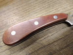 Cobra Stainless Steel 10.5" Fixed Blade Hunting Filet Knife Leather Sheath Japan
