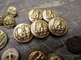 Vtg 23 Piece Military Fashion Button Lot Scoville Waterbury Brass Metal Plastic