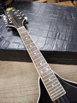 Rogue RM 100A Mandolin Black Lacquered 8 String Instrument Musical w/Case Nice!!