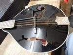 Rogue RM 100A Mandolin Black Lacquered 8 String Instrument Musical w/Case Nice!!