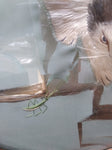 Vtg 2 Sided Silk Cat Picture Hunting Praying Mantis Gold Gray Round Convex Glass