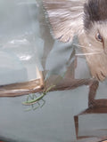 Vtg 2 Sided Silk Cat Picture Hunting Praying Mantis Gold Gray Round Convex Glass