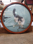 Vtg 2 Sided Silk Cat Picture Hunting Praying Mantis Gold Gray Round Convex Glass