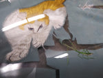 Vtg 2 Sided Silk Cat Picture Hunting Praying Mantis Gold Gray Round Convex Glass