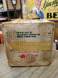Vtg 1970 Coleman 220F 2 Mantle Gas Lantern Pyrex Globe w/Lantern Hanger Orig Box