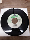 Vtg 6 Pc 45 RPM Record Lot Mungo Jerry Sammy Davis Taco John Denver Leo Sayer