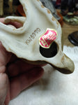 Vtg Lefton China Red Squirrel Figurine KW 6970 Hand Painted Porcelain Japan
