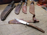 Vtg EIG Solingen Germany Fixed Blade Hunting Knife Carved Stag Handle w/Sheath