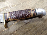Vtg Western USA Fixed Blade Hunting Bird Trout Knife Jigged Stag Handle wSheath