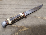 Vtg Edge Mark 489 Solingen Germany Fixed Blade Hunting Knife Antler Stag Handle
