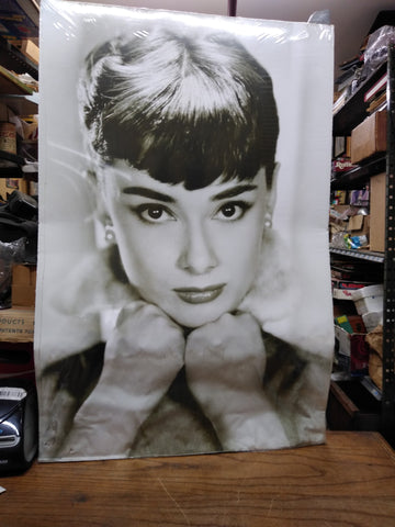 Vtg Actress Audrey Hepburn Photograph Poster 33" x 22" Pyramid International