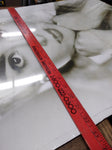 Vtg Actress Audrey Hepburn Photograph Poster 33" x 22" Pyramid International