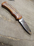 Vtg 2 Piece Pocket Knife Lot Wild Outdoors Brown Bear + Fury Eagle Figural