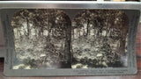 Antique Lot of 6 Keystone View Co WWI Photos Military History Belleau Wood Era