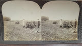 Antique Lot of 6 Keystone View Co WWI Photos Military History Belleau Wood Era