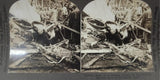 #3 Lot of 6 Keystone View Co Stereoview Photos Military/Historic Scenes