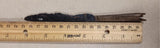 Rare Medieval BC AD Side Belt Knife Blade Wood Handle Pugio