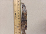 Medieval Iron Knife Blade Suspension Ring 13th-15th Century AD Belt Knife