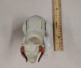 Vintage Star Wars TaunTaun Action Figure 1979 Kenner - No Saddle