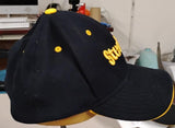 Pittsburgh Steelers Vintage Script Logo Flex Fit Hat NFL Team Apparel