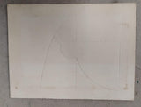 Vintage 1979 Pittsburgh Pirates Iron City Beer World Champion Promo Print