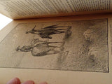 Antique 1896 Boys and Girls Companion by W.B. Conkey Childrens Illustrated Book