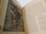 Antique 1896 Boys and Girls Companion by W.B. Conkey Childrens Illustrated Book