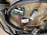 Harley Touring FLH Electra Glide Magneti Marelli ECM ECU Wiring Harness Ignition
