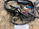 Harley Touring FLH Electra Glide Magneti Marelli ECM ECU Wiring Harness Ignition