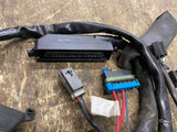 Harley Touring FLH Electra Glide Magneti Marelli ECM ECU Wiring Harness Ignition