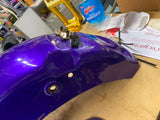 Custom Paint Airbrush Fenders Harley Wide Glide Shovelhead FXWG Bobtail Dream We