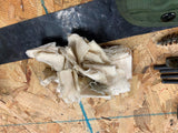US Military M16A1  Cleaning Kit Orig carry bag Tools  Army