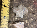 Native American Arrowheads Coral Newman Quartz Archaic Cobbs Blade Artifacts!