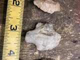 Native American Arrowheads Coral Newman Quartz Archaic Cobbs Blade Artifacts!