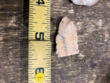Native American Arrowheads Coral Newman Quartz Archaic Cobbs Blade Artifacts!
