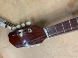 Vtg A-style mandolin String Instrument F-holes spruce maple back Custom built