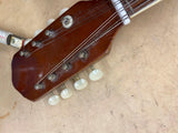 Vtg A-style mandolin String Instrument F-holes spruce maple back Custom built